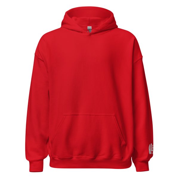 HGS – UNISEX HOODIE - Image 10
