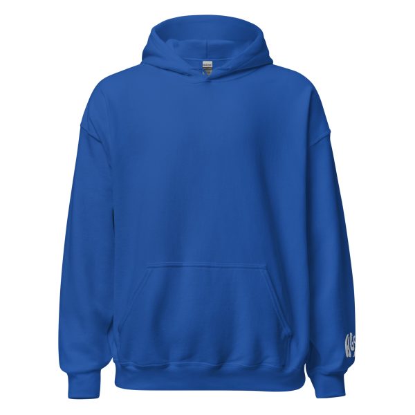 HGS – UNISEX HOODIE - Image 14