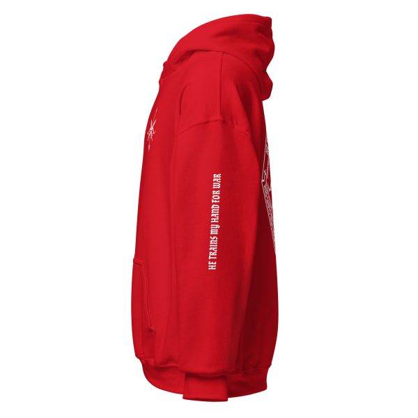 PS144 - UNISEX HOODIE - Image 19